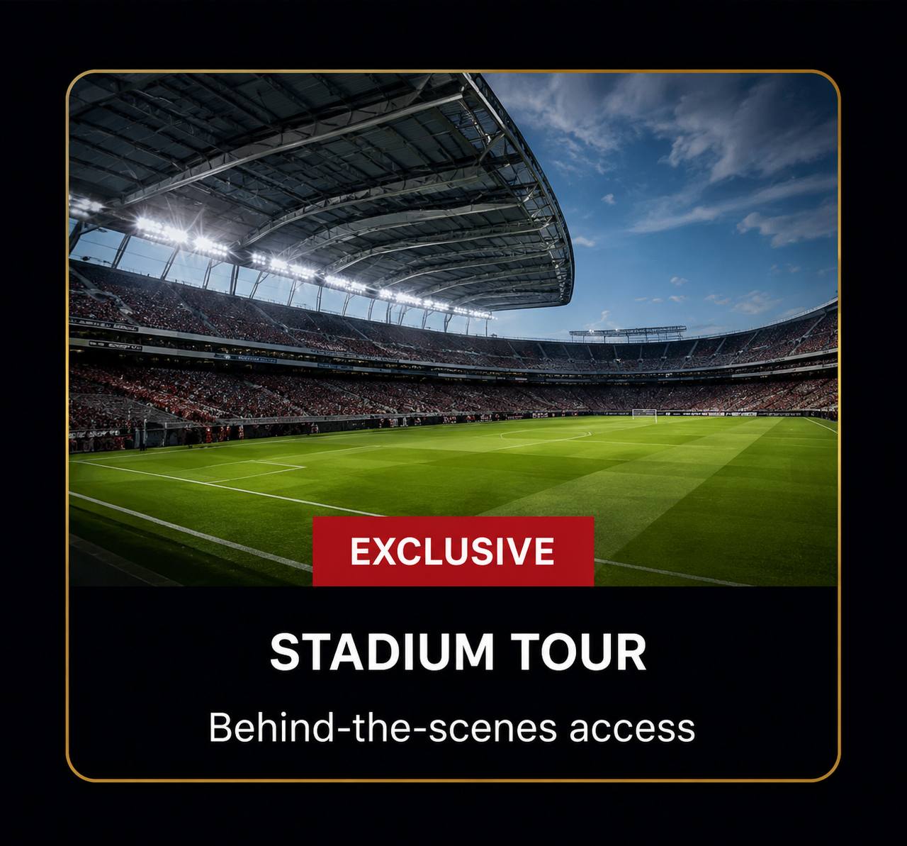 Stadium Tour